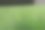 近距离观察草叶图片下载