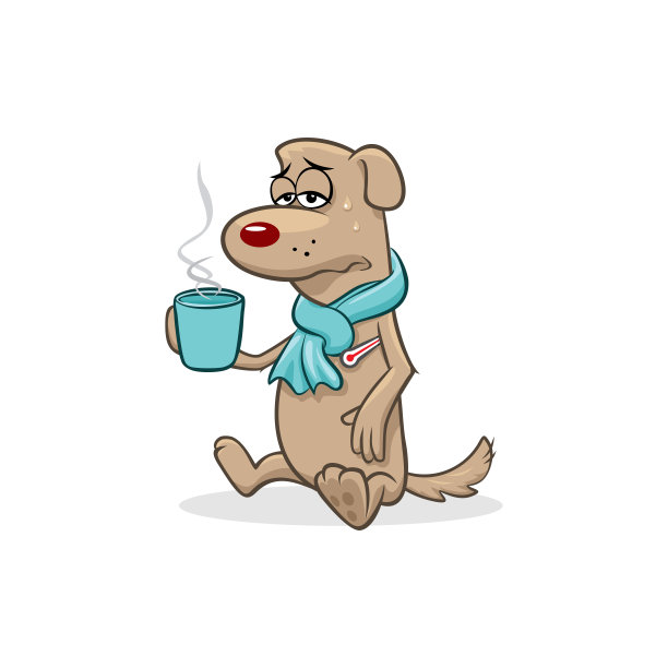 生病的狗用体温计围着一杯茶图片下载