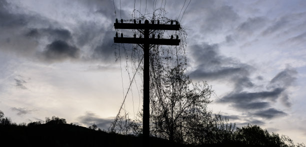 古老的木塔轮廓。图片下载