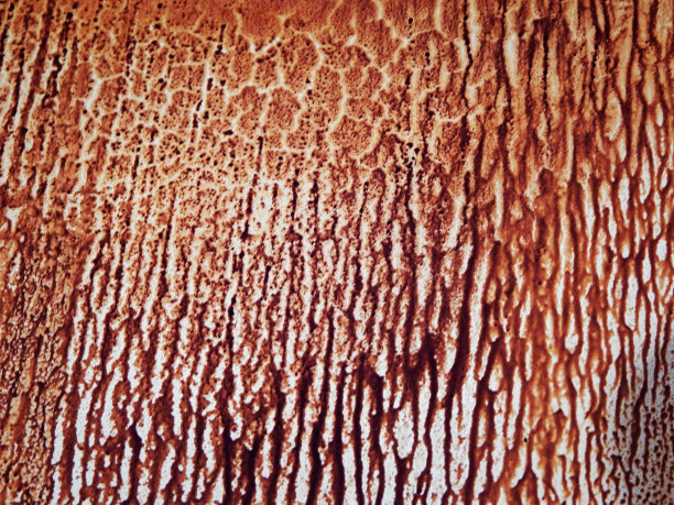 表面脂肪污渍。图片下载