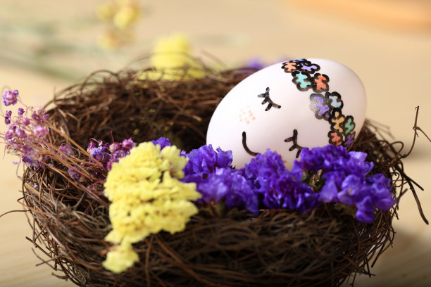 鸟窝里的彩蛋图片下载