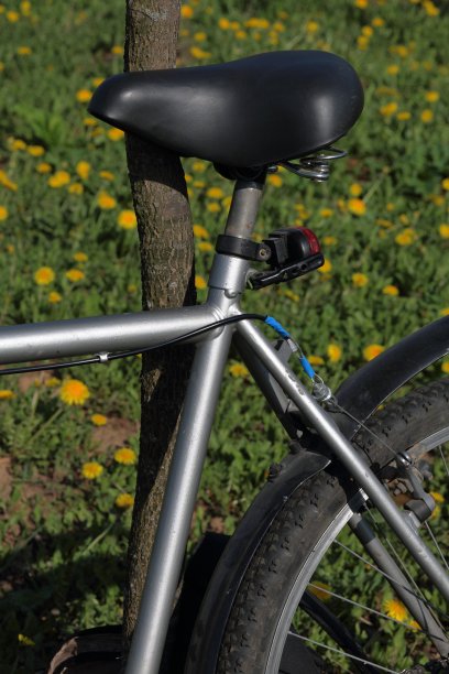 自行车停放在春天的林间空地上。蒲公英盛开的。图片下载