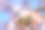 日本樱花樱花盛开。阳光下的粉红色花朵。春天花园或果园的清新和美丽。五颜六色的花的照片图片下载