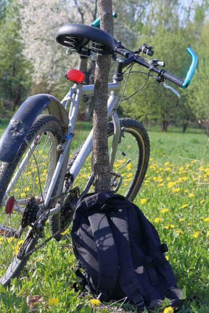 自行车停放在春天的林间空地上。下一个旅游的背包。蒲公英盛开的。图片下载