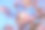 日本樱花樱花盛开。阳光下的粉红色花朵。春天花园或果园的清新和美丽。五颜六色的花的照片图片下载
