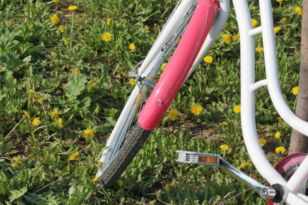 自行车停放在春天的林间空地上。蒲公英盛开的。图片下载