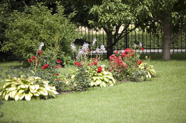 园林花坛图片下载