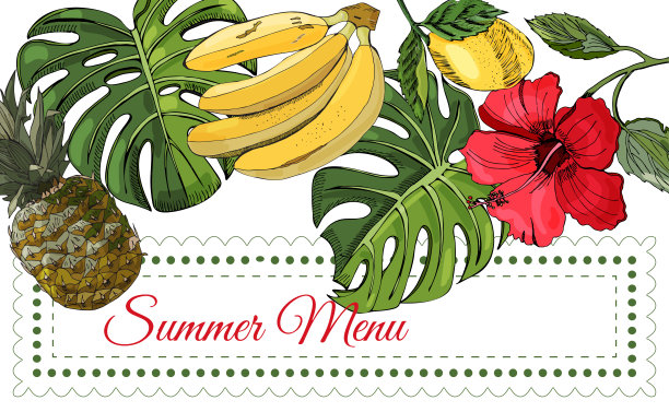 水平模板，绿色的大怪物叶，热带水果和红色的芙蓉花。手绘墨水和彩色素描孤立在白色背景。图片下载