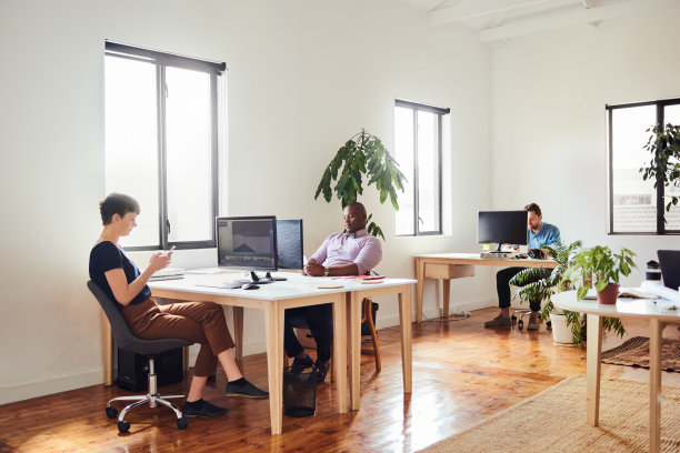 他们是一个以最高效率运作的小团队图片下载