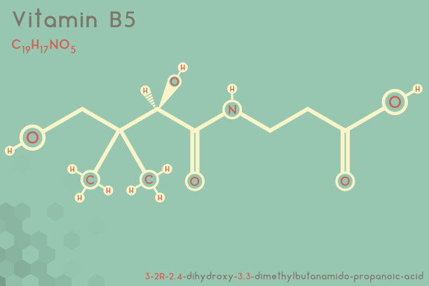 维生素B5分子信息图图片下载