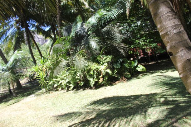 豪华岛国塞舌尔图片下载