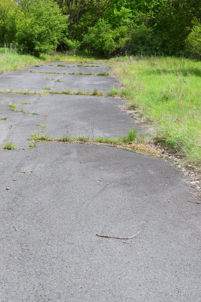 草在柏油马路上生长图片下载