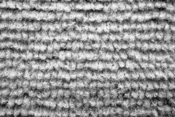 特里海绵图片下载