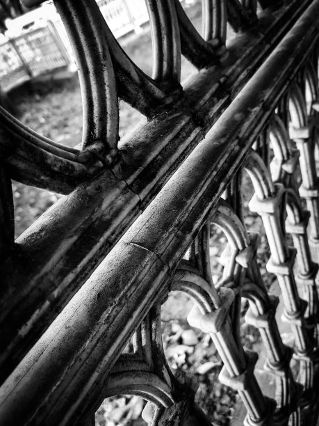 医院花园的黑暗树篱图片下载