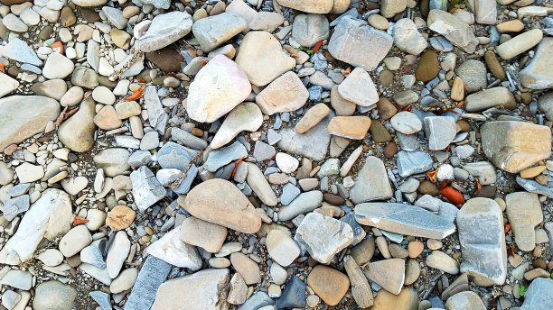 无情的海滩图片下载