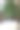 禅意植物的形象，室内棕榈室内植物与东方竹植物藤和光滑的黑白卵石表面砾石覆盖，亚洲风格的膏霜矩形陶瓷壶，阴阳概念照片放松，冥想，风水室内设计图片下载