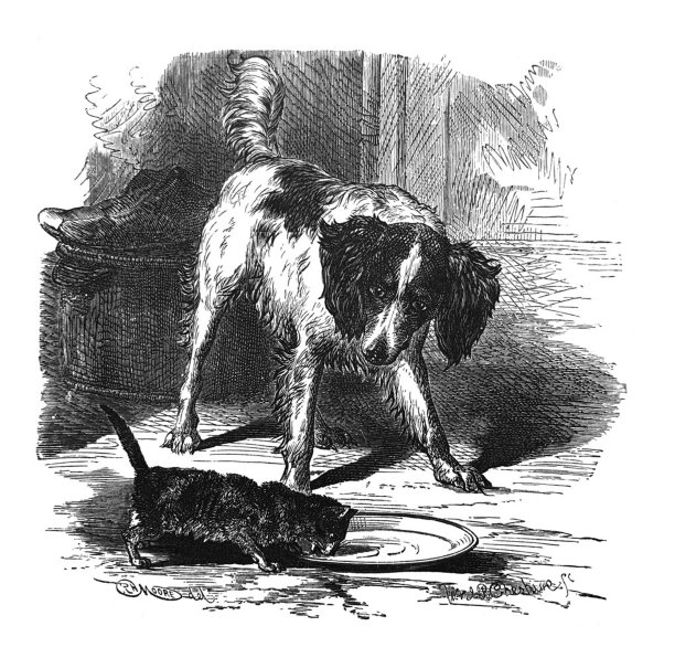 古董儿童图画书插图-狗看猫吃图片下载