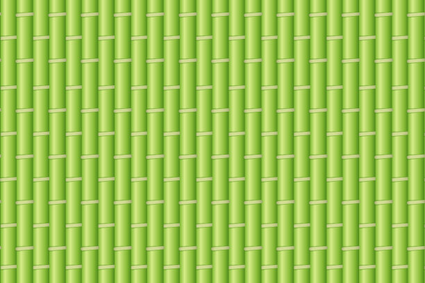 竹，背景青竹。矢量插图的竹子。素材图片