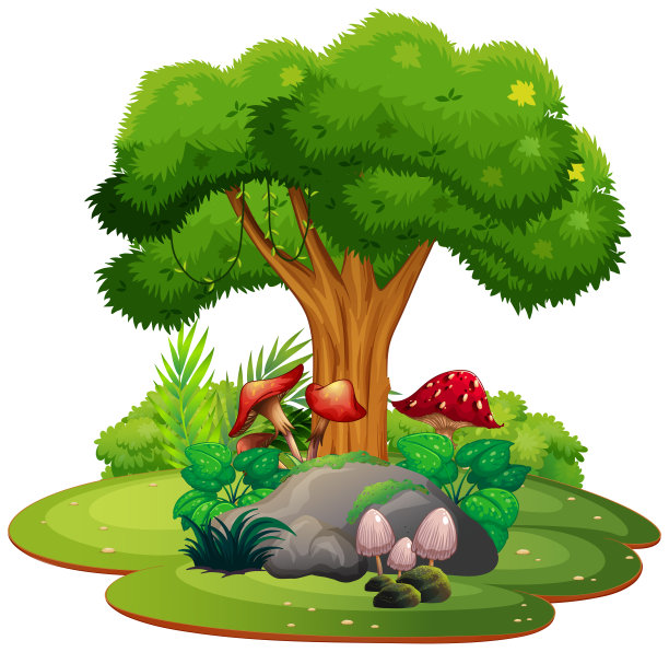 美丽的自然景观图片下载