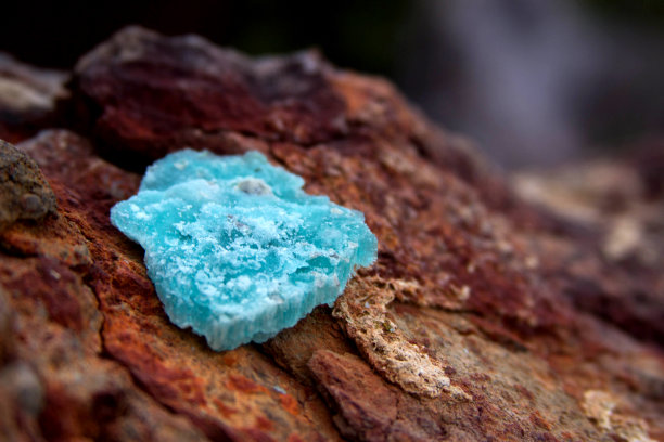 海洋矿物在红色的石头背景文本图片下载