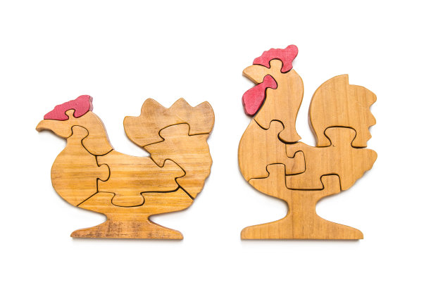 拼图，木片和小鸡形状在白色的背景上用小木片来训练和发展孩子。图片下载