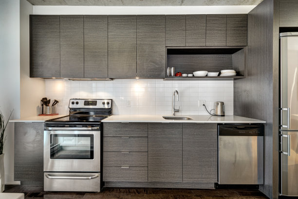 加拿大蒙特利尔的现代家具公寓图片下载