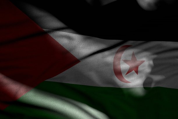 美好的一天的旗帜3d插图 -照片中的西撒哈拉旗与折叠躺在阴影与亮点上图片下载