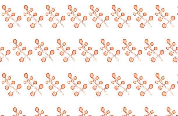 水彩植物插图图片下载