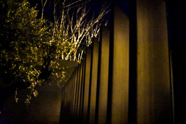 夜晚的金属栅栏和树木图片下载