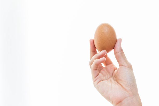 鸡蛋的手图片下载