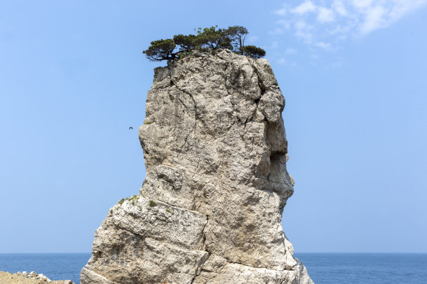 在海的顶端有高高的峭壁和树图片下载