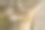 公园里的一排木椅。图片下载