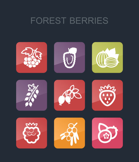 森林浆果图标集图片下载
