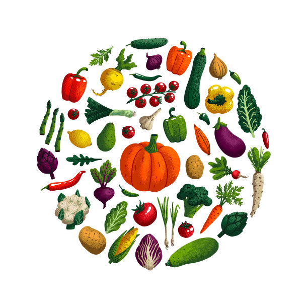 蔬菜。一种装饰性蔬菜，粒质孤立在白色上。农副产品圆形组合为餐厅菜单，市场标签。矢量插图。图片下载