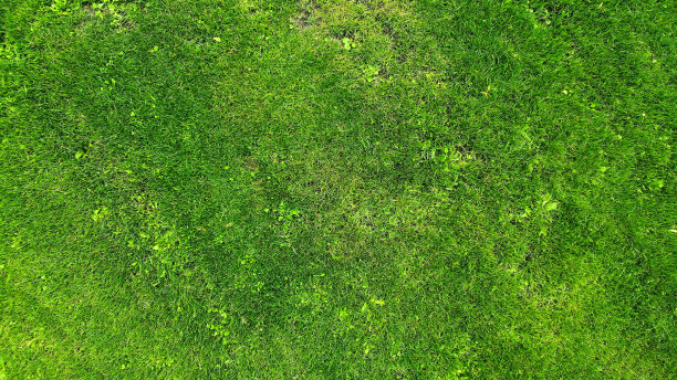 天线。绿草草坪纹理背景。俯视图从无人机。图片下载