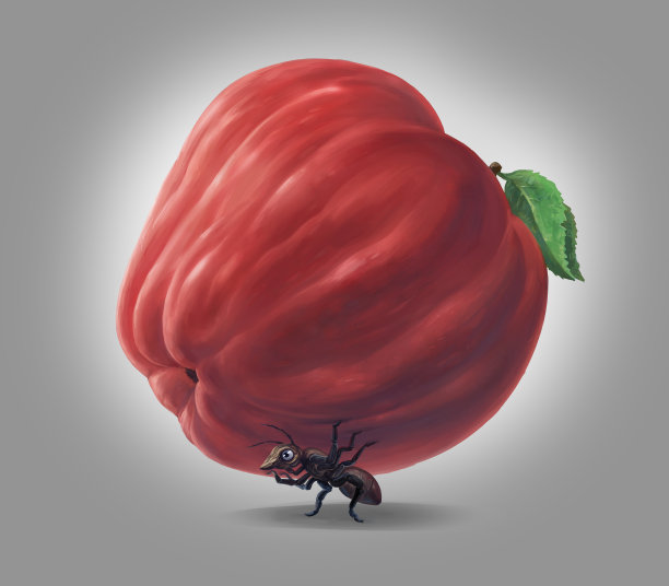 蚂蚁和它的负担图片下载