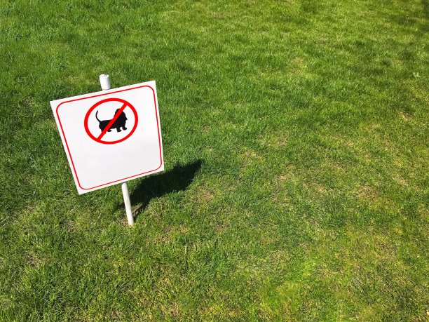 绿色草坪上的禁止标志。图片下载