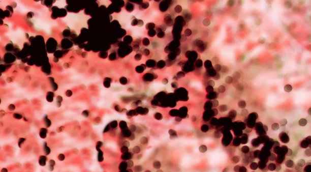 血球显微镜下，血型观微距成像。血细胞图片下载