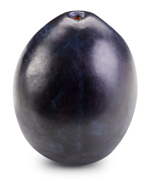 梅孤立于白图片下载