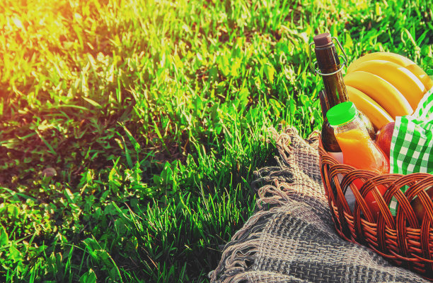 草地上野餐用的格子花呢。有选择性的重点。图片下载