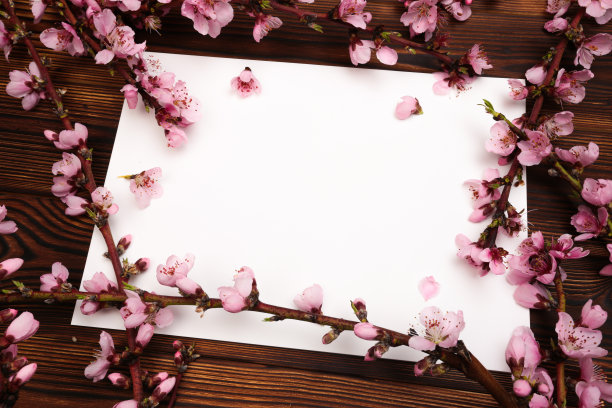白色的纸和杏树枝与花在木制的背景。文本。春天的概念来了，复活节快乐，母亲节。前视图。剥。副本的空间。——图片图片下载