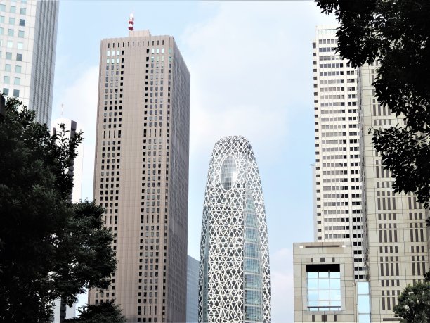 东京新宿。东京以其摩天大楼而闻名图片下载