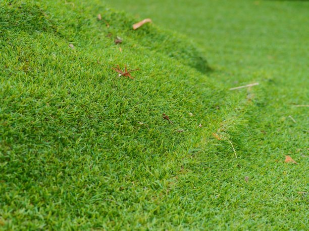 一块块人造草皮图片下载