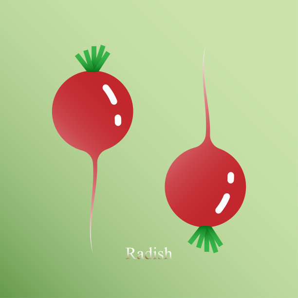 萝卜图标。新鲜蔬菜的象征，天然、有机、健康食品的理念。矢量插图。——矢量图片下载