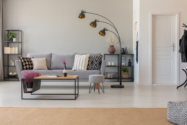 一个宽敞的客厅内部的真实照片，一个现代的灯，沙发，咖啡桌和米色地毯图片下载