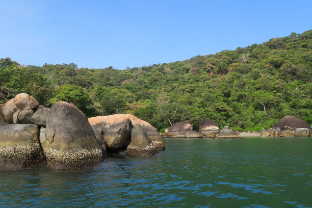 在印度果阿的Palolem蝴蝶海滩的图片，渔船/海豚游轮到达，热带植物，岩石和棕榈树的照片，柔软的金色沙子，温暖的海和附近的蜜月海滩图片下载