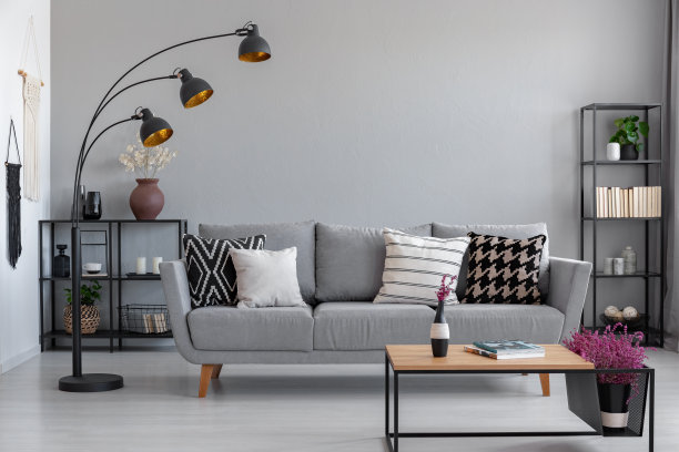 一个现代客厅内部的真实照片，一个沙发，有图案的枕头和灯图片下载