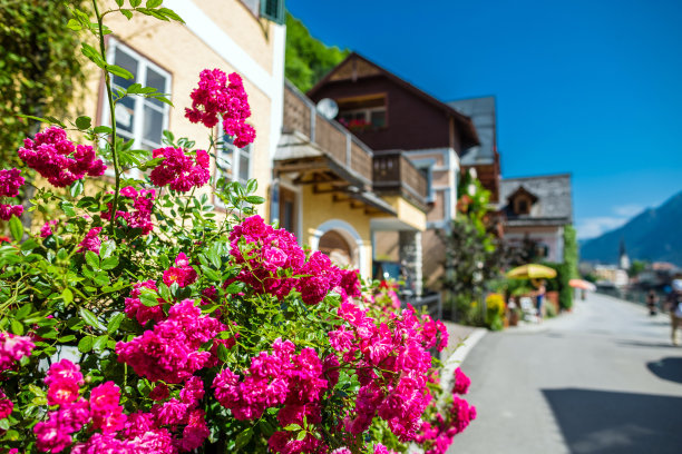 哈尔斯塔特,奥地利图片下载