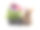 花盆里的棕色兔子和矮牵牛花。图片下载