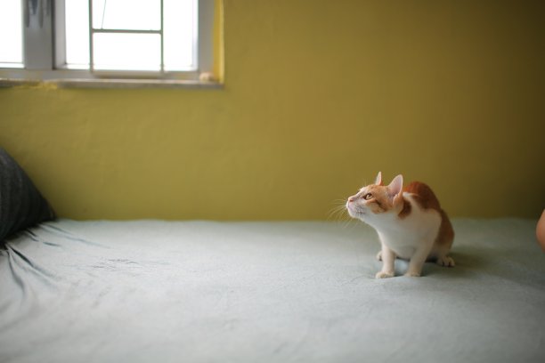 玩得开心图片下载